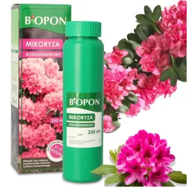 mikoryza-borowek-rododendronow-azalii-grzybnia-250