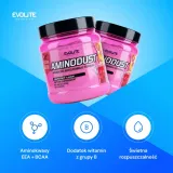 evolite-aminodust-474-g