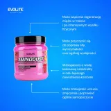 evolite-aminodust-474-g