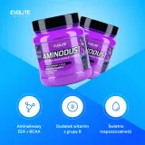 evolite-aminodust-474-g