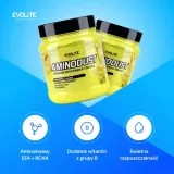 evolite-aminodust-474-g