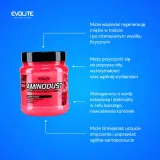 evolite-aminodust-474-g