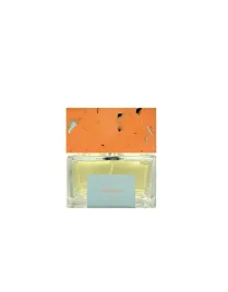 pictor-parfum-airbrush-extrait-de-parfum-unisex-100-ml