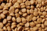 dr-john-puppy-10kg-marka-inna