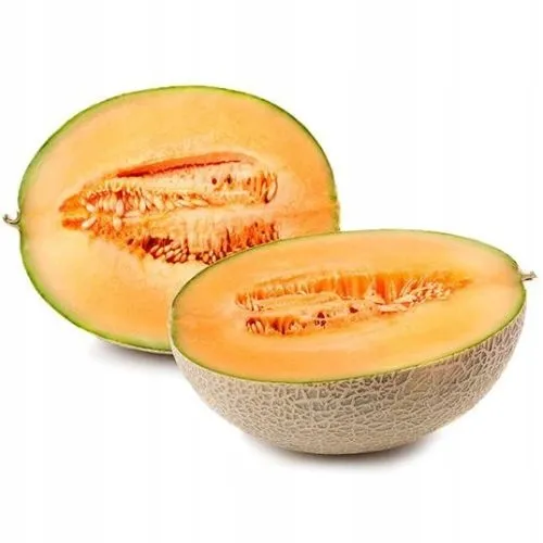 melon-cukrowy-charentaise-nasiona