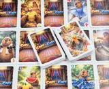 capi-capi-kapibary-karciary-stan-nowy