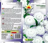 kocanka-biala-unikat-rodzaj-rosliny-inny
