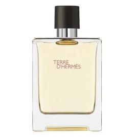 hermes-terre-d-hermes-eau-de-toilette-for-men-100-ml-tester