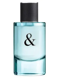 tiffany-and-co-love-eau-de-toilette-for-men-90-ml