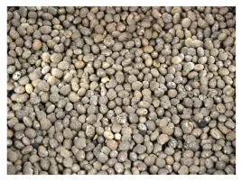 lubin-waskolistny-slodki-45kg-zaneta-przyneta-wedkarska-ziarno-karp-karas