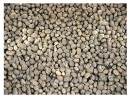 25kg-lubin-waskolistny-slodki-ziarno-zaneta-przyneta-wedkarska-karp-karas