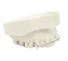 model-dentystyczny-gornej-szczeki-z-retainerem-medyczny-eu