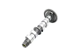 walek-rozrzadu-ssacy-benelli-trk-502x-129106280030