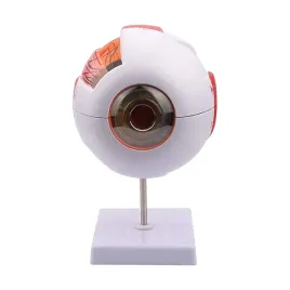 model-galki-ocznej-4035-medyczny-eu