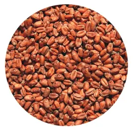 slod-pszeniczny-wedzony-debem-1kg-viking-malt