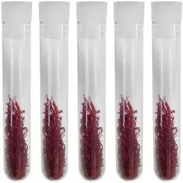 szafran-nitki-25g-przyprawa-szlachetna-aromatyczna-wysoka-jakosc-kol-pol