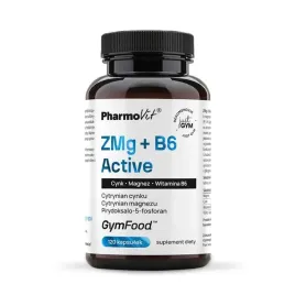 zmg-b6-active-120-kaps-gymfood