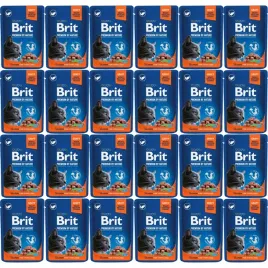 brit-mokra-karma-dla-kota-pouches-salmon-sterilized-24x100g