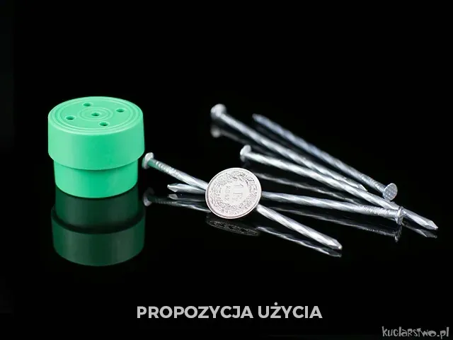 nadziewana-moneta-stan-nowy