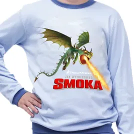 pizama-dziecieca-jak-wytresowac-smoka-rodzaje-producent