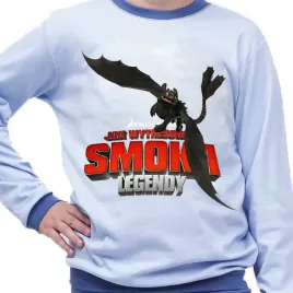 pizama-dziecieca-jak-wytresowac-smoka-rodzaje-producent