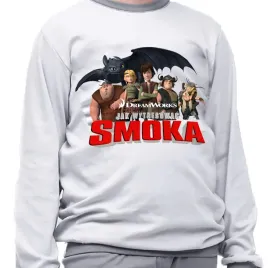 pizama-dziecieca-jak-wytresowac-smoka-rodzaje-producent