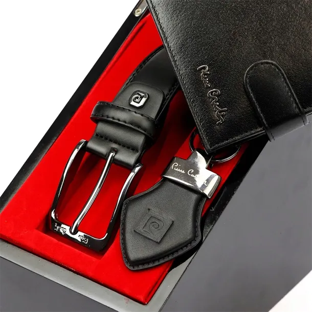 greg60561-marka-pierre-cardin