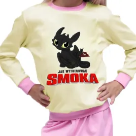 pizama-dziecieca-jak-wytresowac-smoka-rodzaje-producent