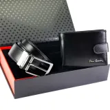 greg60806-marka-pierre-cardin