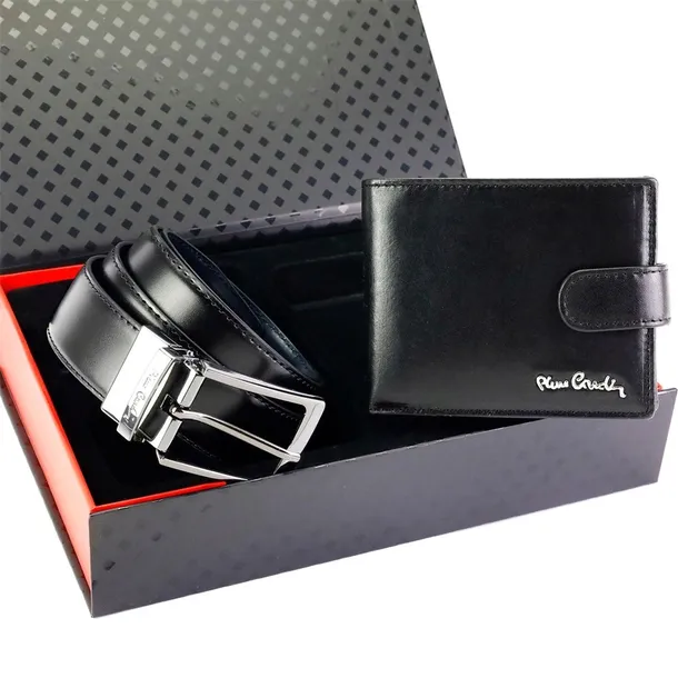 greg60819-marka-pierre-cardin