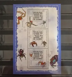 2013-fauna-owady-pajaki-gwinea-czysty-perf