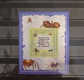 2013-fauna-owady-pajaki-gwinea-czysty-perf