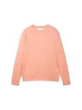 bluza-meska-tom-tailor-printed-crewneck-r-m-marka-tom-tailor