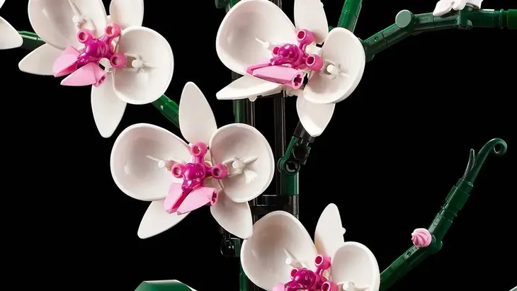 lego-botanicals-10311-orchidea-certyfikaty-opinie-atesty-ce
