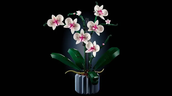 lego-botanicals-10311-orchidea-bohater-brak-plec-dziewczynki