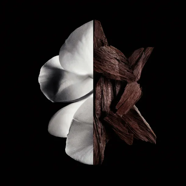 givenchy-gentleman-boisee-edp-60ml-grupa-zapachowa-drzewna