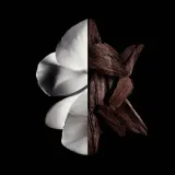 givenchy-gentleman-boisee-edp-60ml-grupa-zapachowa-drzewna