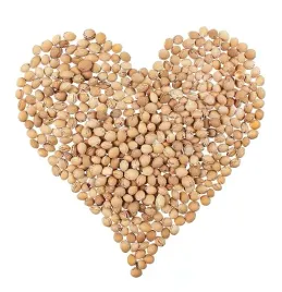 termofor-z-pestek-wisni-m-brazowy-10-l