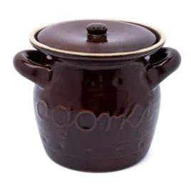 beczka-do-kiszenia-ogorkow-kamionka-pokrywka-25-l