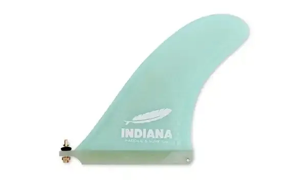 fin-indiana-race