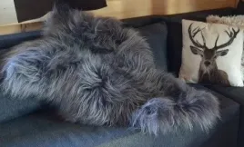 mountain-sheepskin-skora-owcza-dluga-welna-kolor-szary-100-x-60-cm