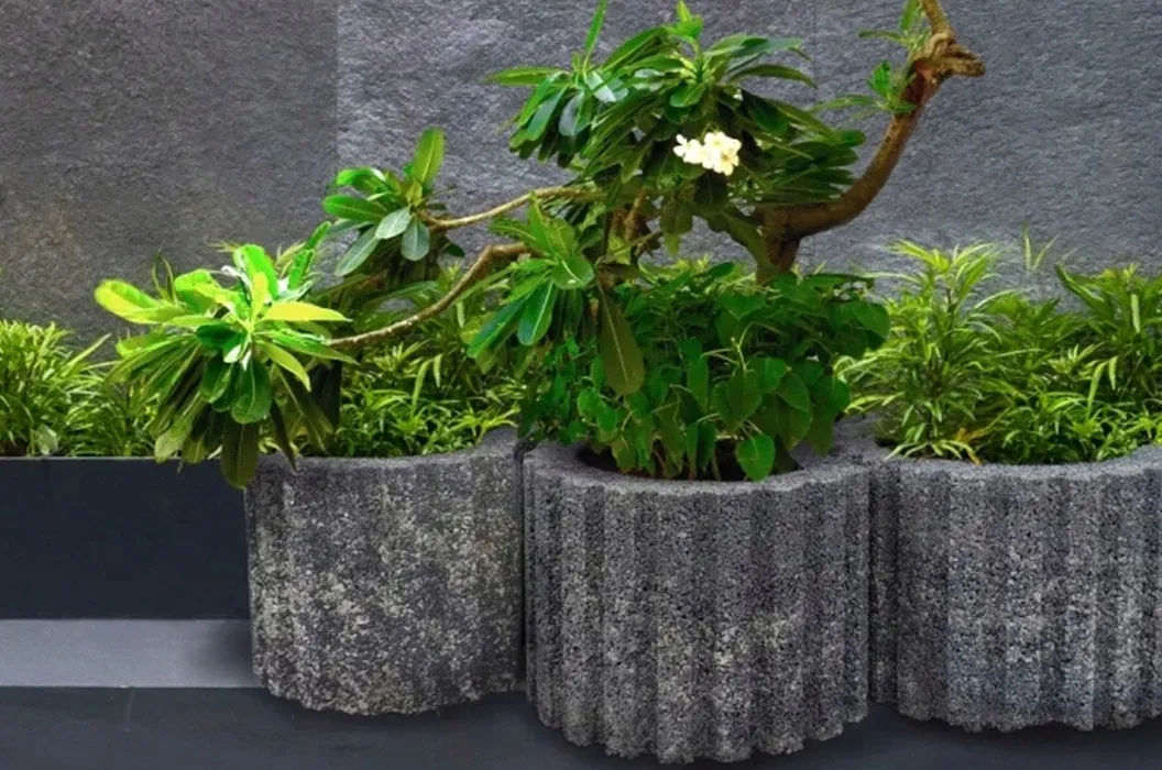 gazon-ogrodowy-moonflor-dm-czerwony