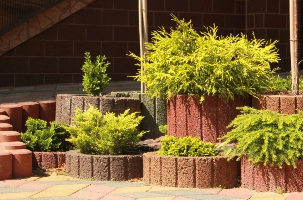 gazon-ogrodowy-moonflor-dm-czerwony-stan-nowy