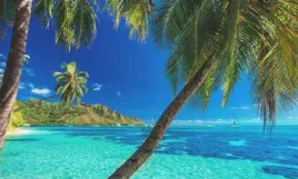 abakuhaus-zestaw-poscieli-2x-135x200-2x-80x80-tropiki