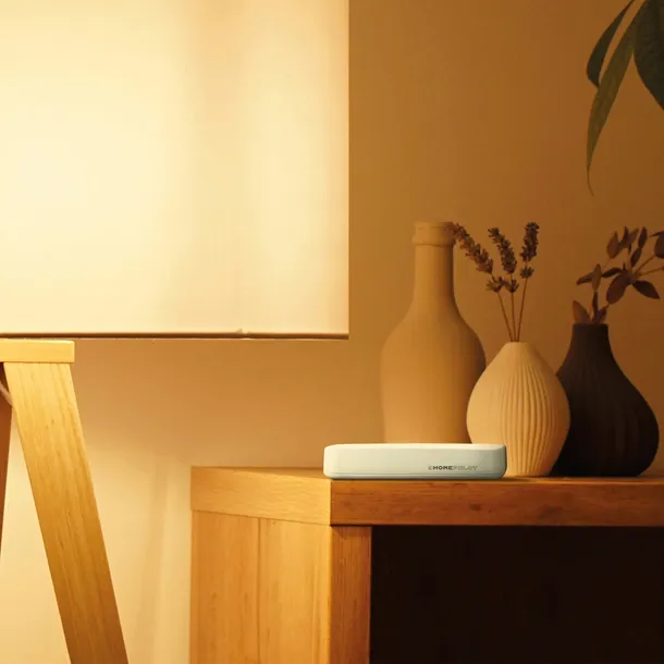 sterownik-homepilot-delta-rodzaj-sterownik-zasilanie-sieciowe