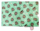notes-a5-st-majewski-pusheen-zielony-format-a5