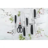 zwilling-all-star-noz-do-warzyw-i-owocow-10-cm-srebrny-friodur-material-ostrza-stal-nierdzewna