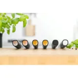 zwilling-all-star-noz-do-warzyw-i-owocow-10-cm-srebrny-friodur-linia-all-star-material-uchwytu-plastik