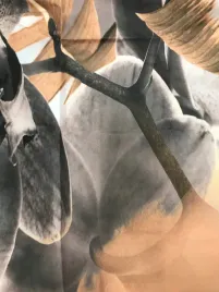 abakuhaus-zaslony-magnolie-2sztuki-x-75x225-cm