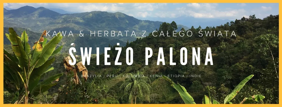 kawiarka-pezzetti-700-ml